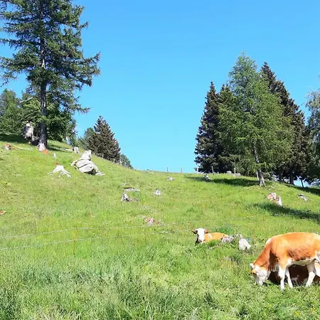 Panoramapension Platzer בית הארחה