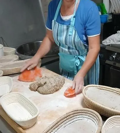 Affittacamere Panoramapension Platzer