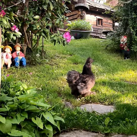 Affittacamere Panoramapension Platzer Unterkolbnitz