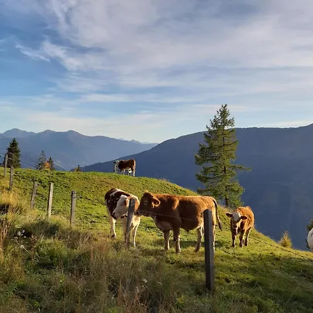 Affittacamere Panoramapension Platzer