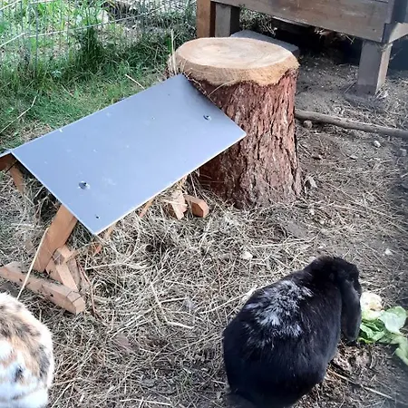 Panoramapension Platzer בית הארחה 3*