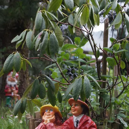 Affittacamere Panoramapension Platzer