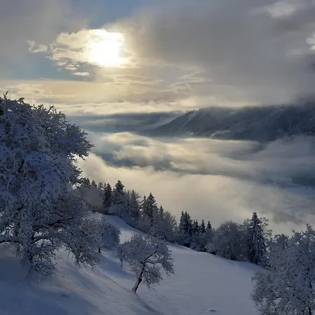 Panoramapension Platzer Affittacamere 3*