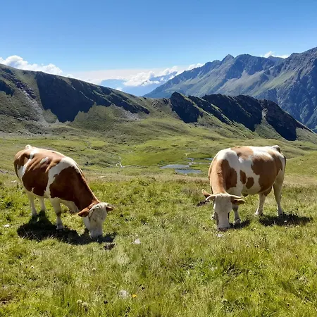Panoramapension Platzer