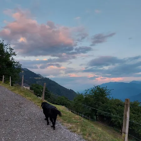 Panoramapension Platzer בית הארחה