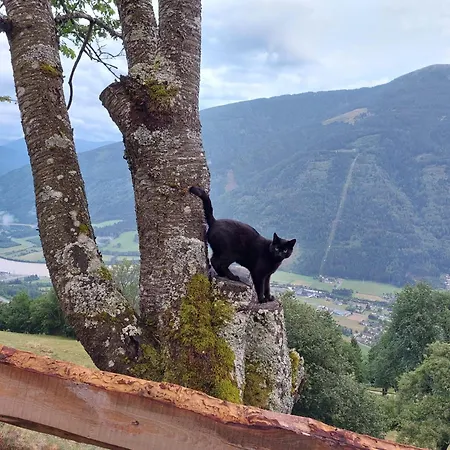 Affittacamere Panoramapension Platzer Unterkolbnitz