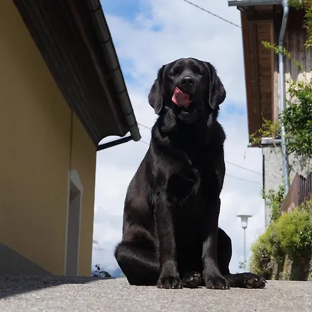 Panoramapension Platzer בית הארחה