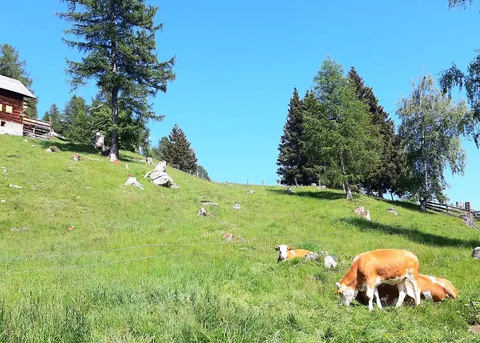 Panoramapension Platzer Pensjonat