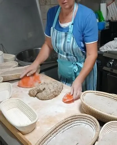 Pensjonat Panoramapension Platzer