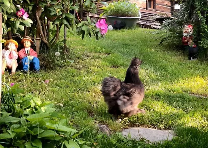 Pensjonat Panoramapension Platzer Unterkolbnitz