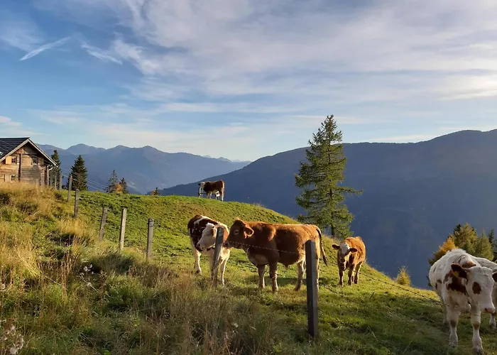 Pensjonat Panoramapension Platzer