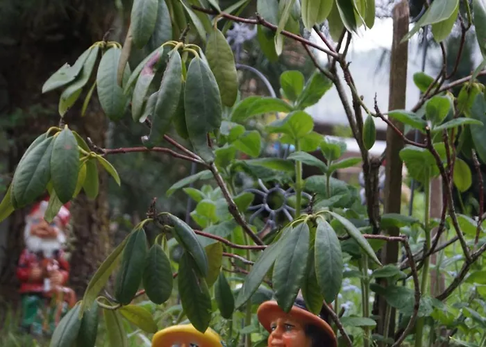 招待所 Panoramapension Platzer