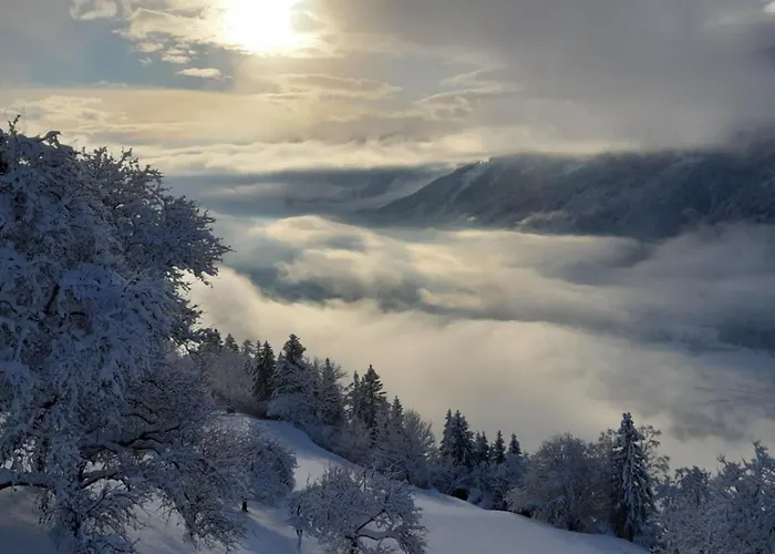 Panoramapension Platzer Pensjonat 3*