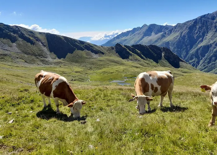 Panoramapension Platzer