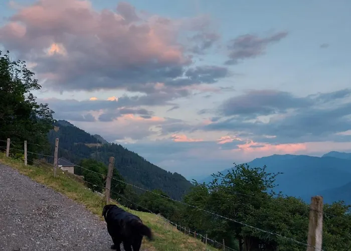 Panoramapension Platzer Pensjonat