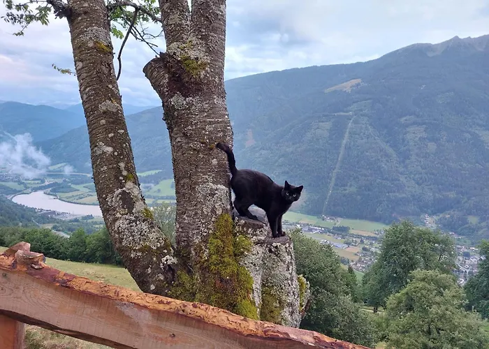 招待所 Panoramapension Platzer Unterkolbnitz