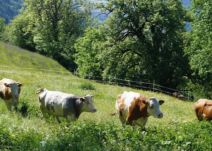 Pensjonat Panoramapension Platzer 3*